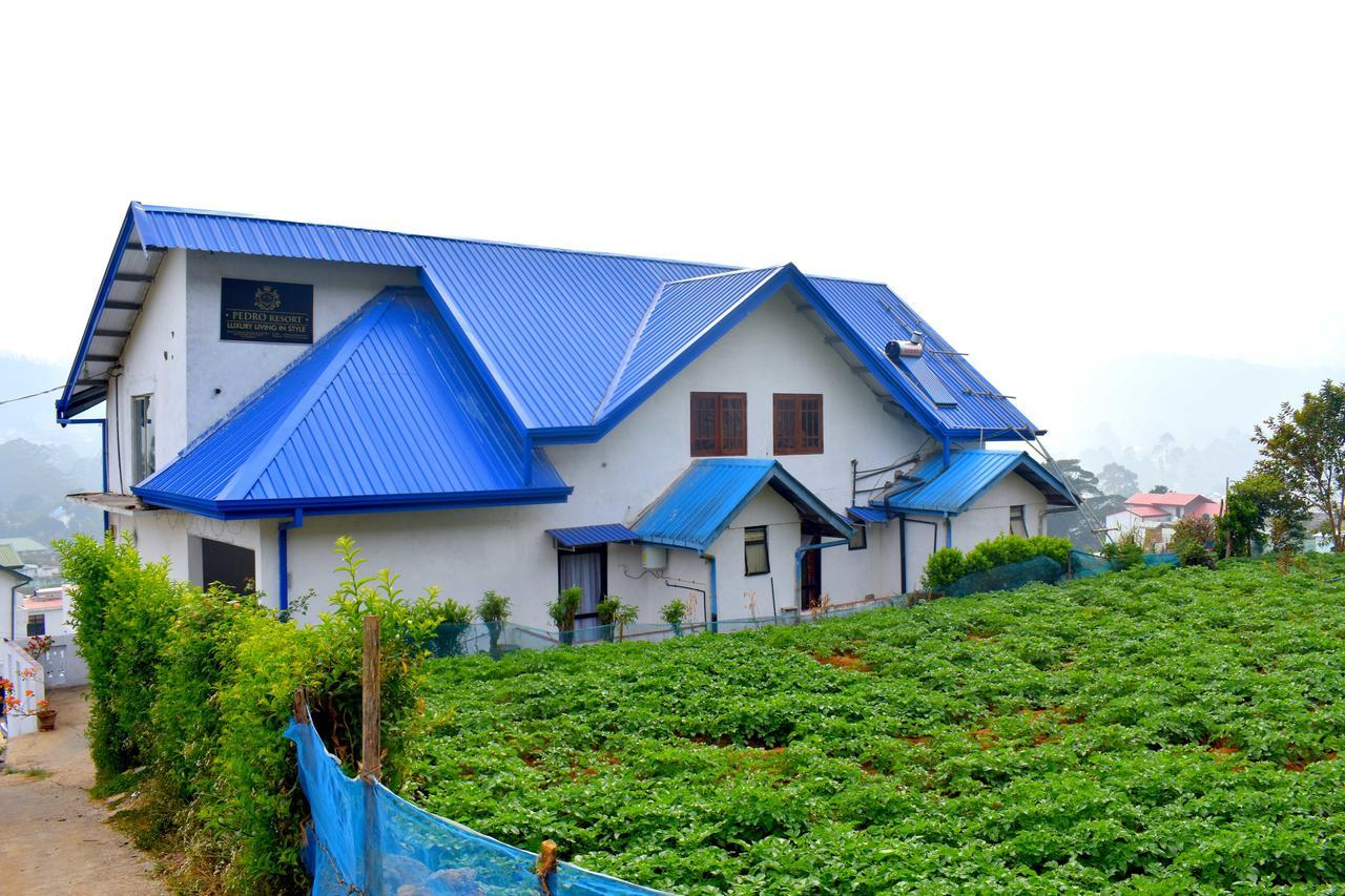 Yoho Pedro Resort Nuwara Eliya Bagian luar foto